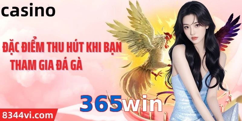 365win