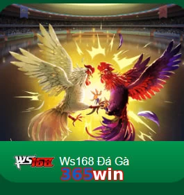 365win